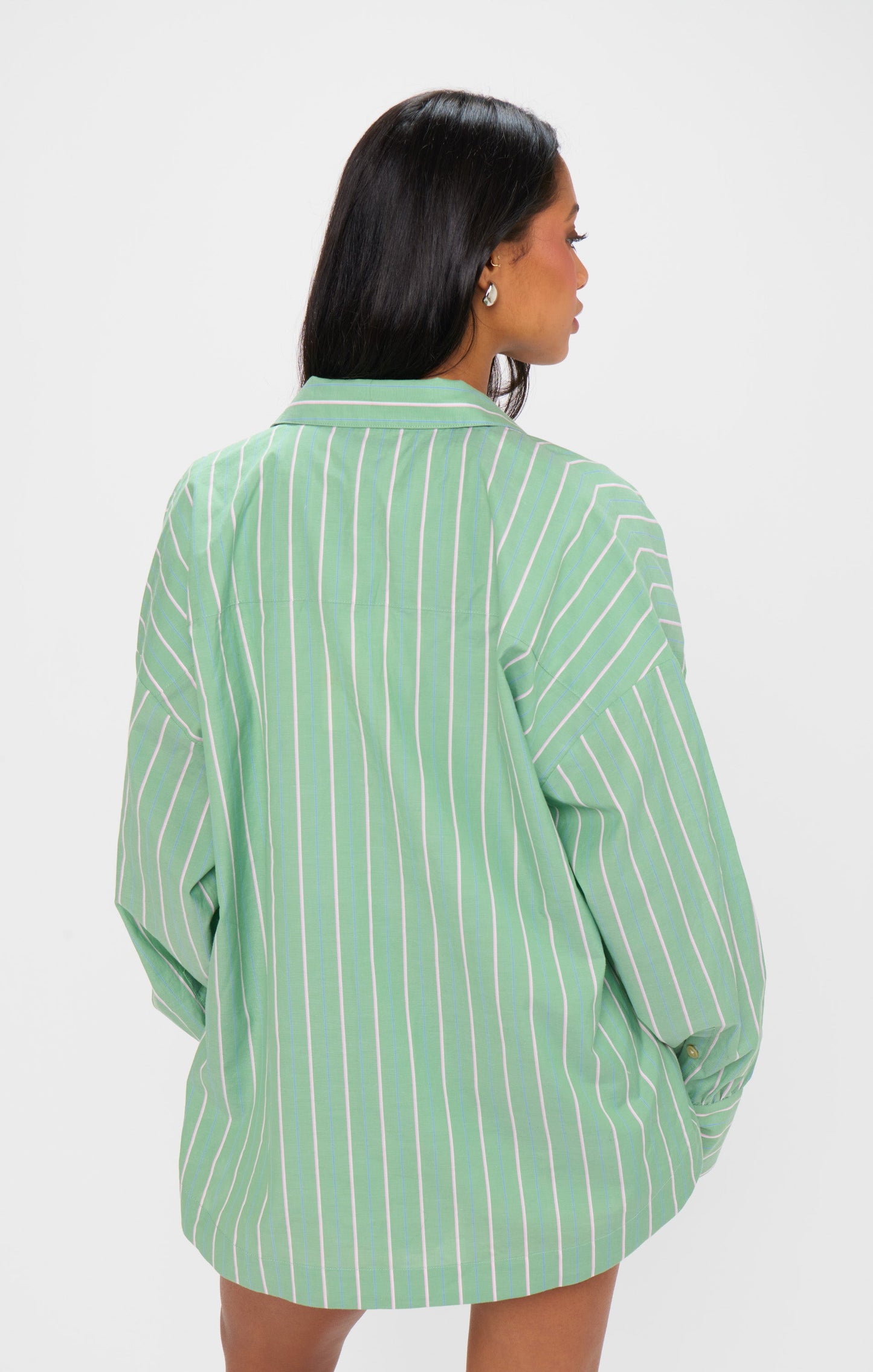 Tyler Button Down ~ Pistachio Stripe