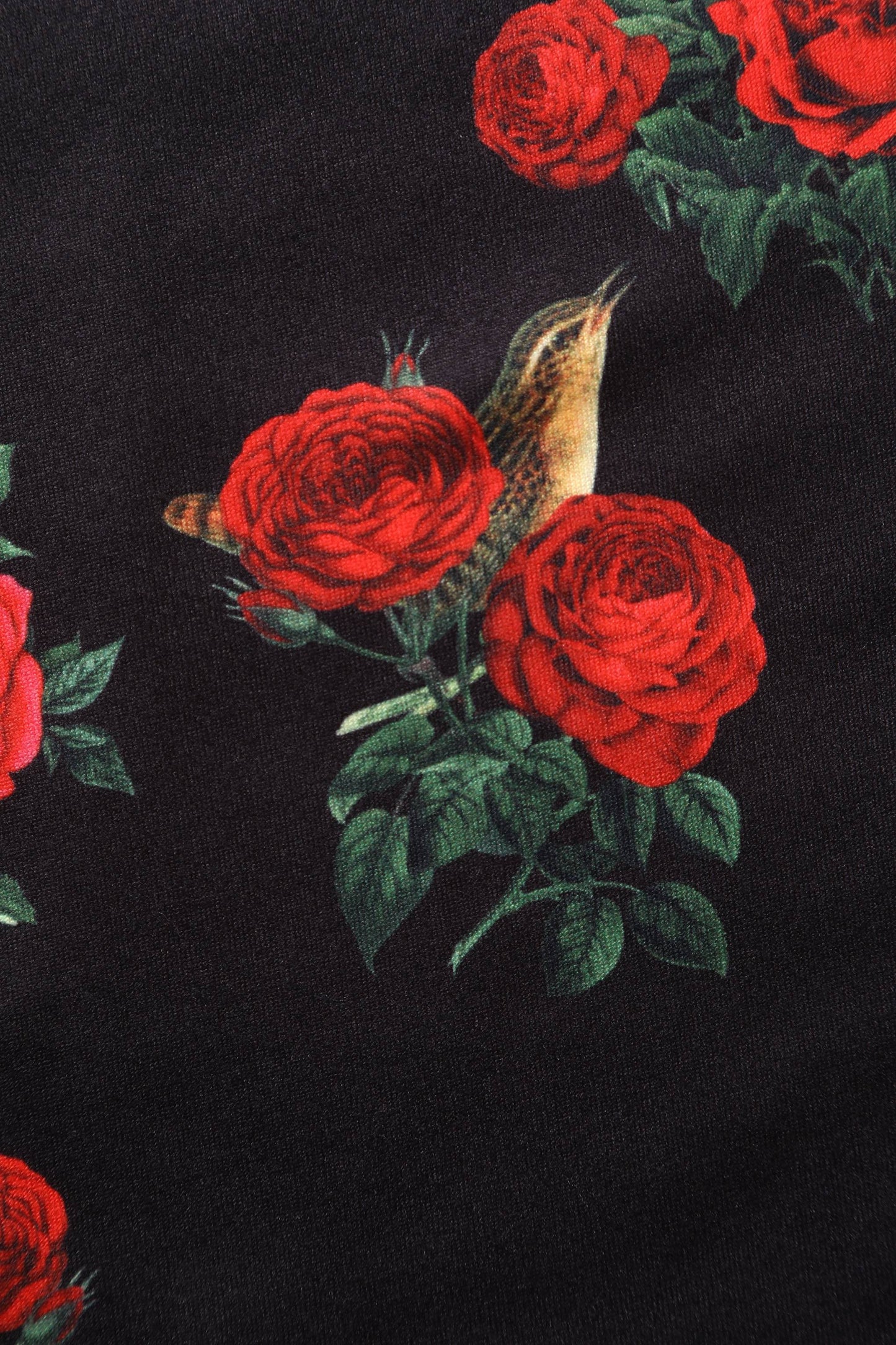 Billie Red Rose & Bird Long Sleeved Dress