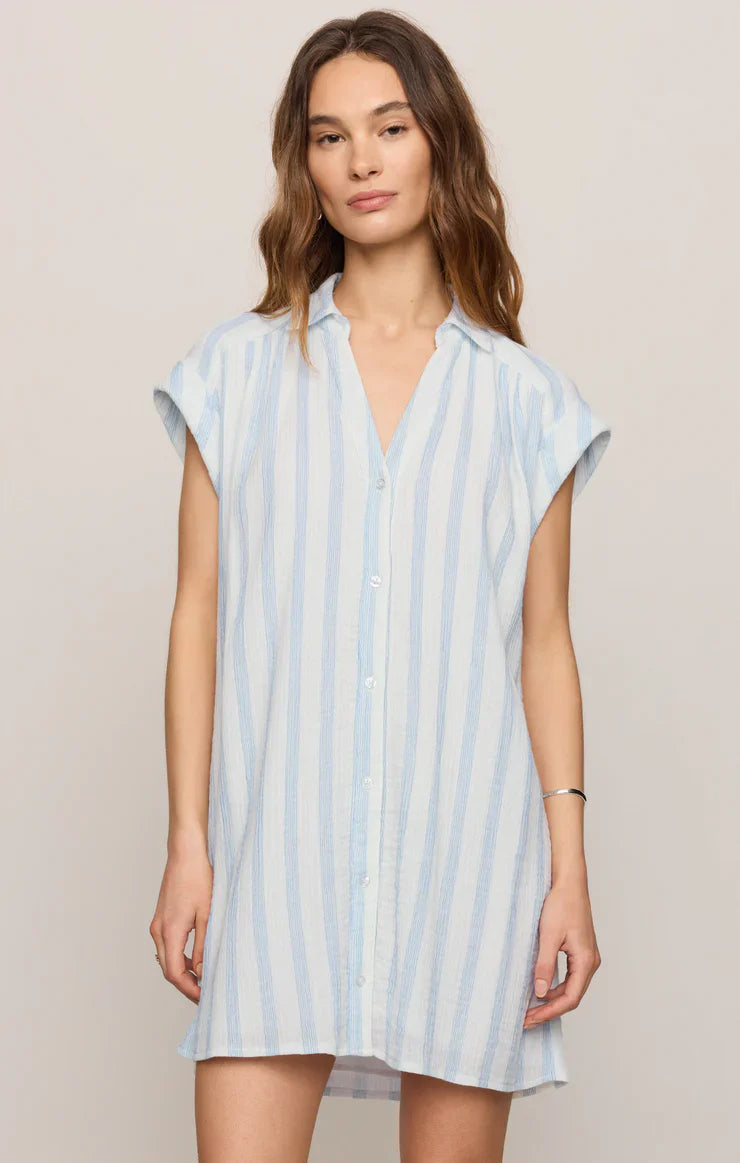 Z Supply Shellbound Striped Dress