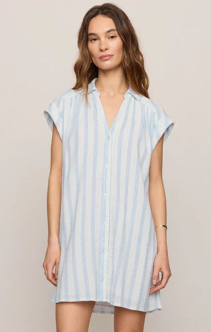 Z Supply Shellbound Striped Dress