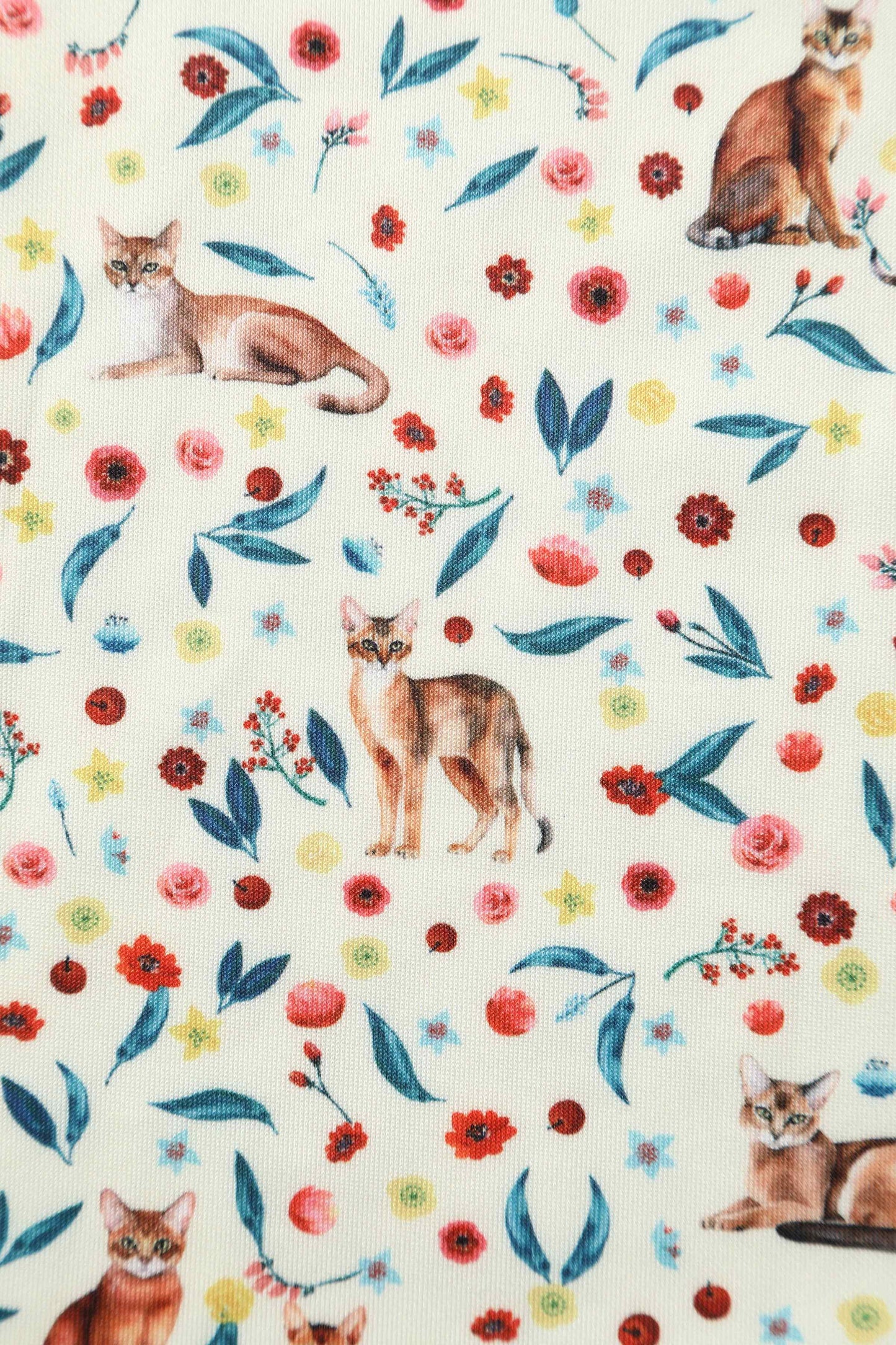 Amanda Ivory Cream Flared Dress in Cat Floral Print