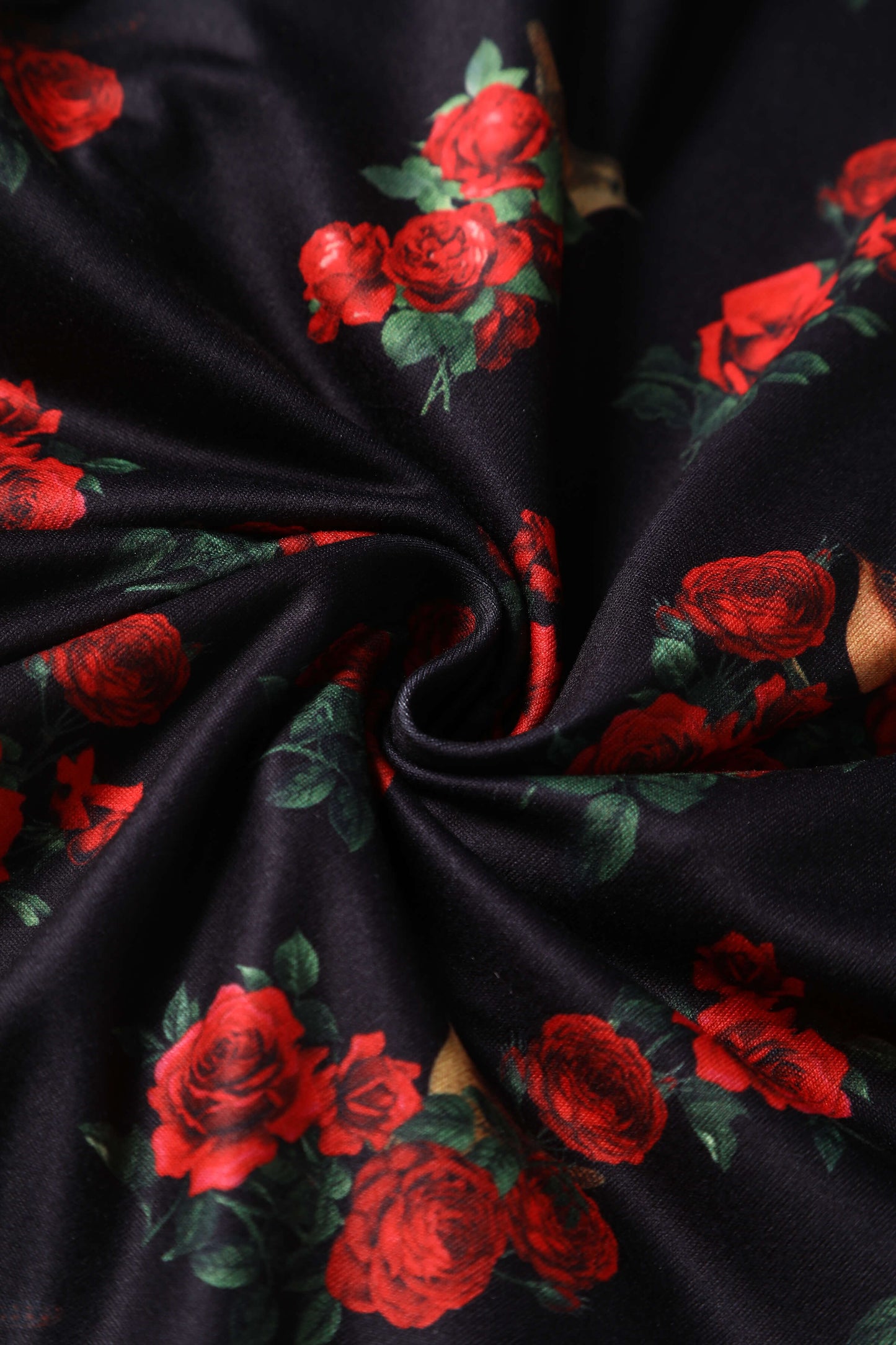 Claudia Black Cap Sleeved Dress with Red Roses & Birds