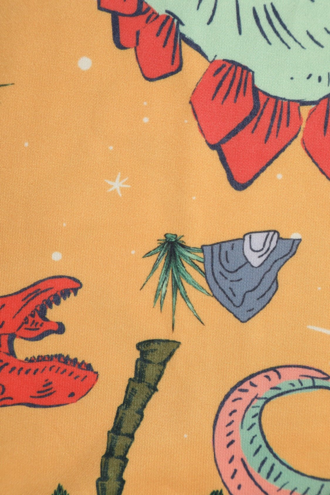 Amanda Dinosaur Extinction Asteroid Dress