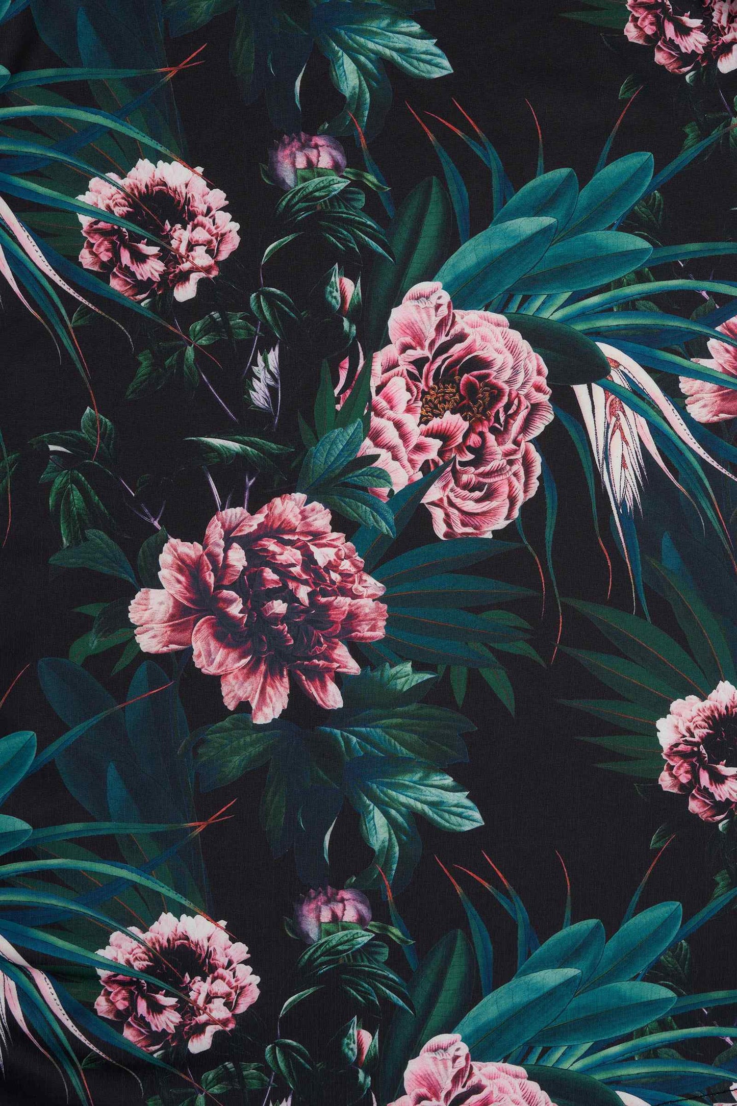 Lily Black Peony Off Shoulder Dress