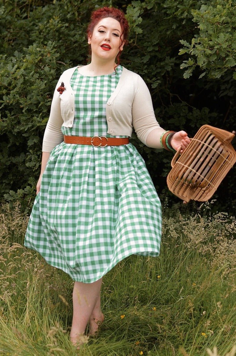 Annie Green Gingham Swing Dress